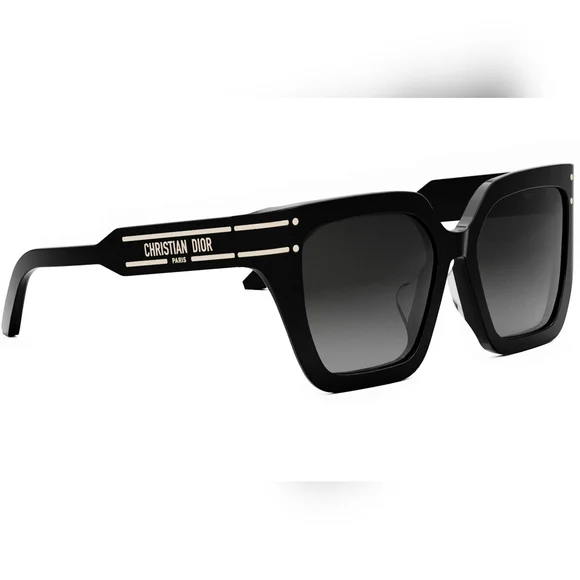 NEW DIOR Sunglasses Christian DIOR S10f GLASSES - Picture 13 of 14